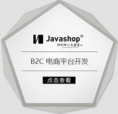 B2C单店系统/定制开发100%源码